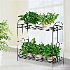 plant stand display