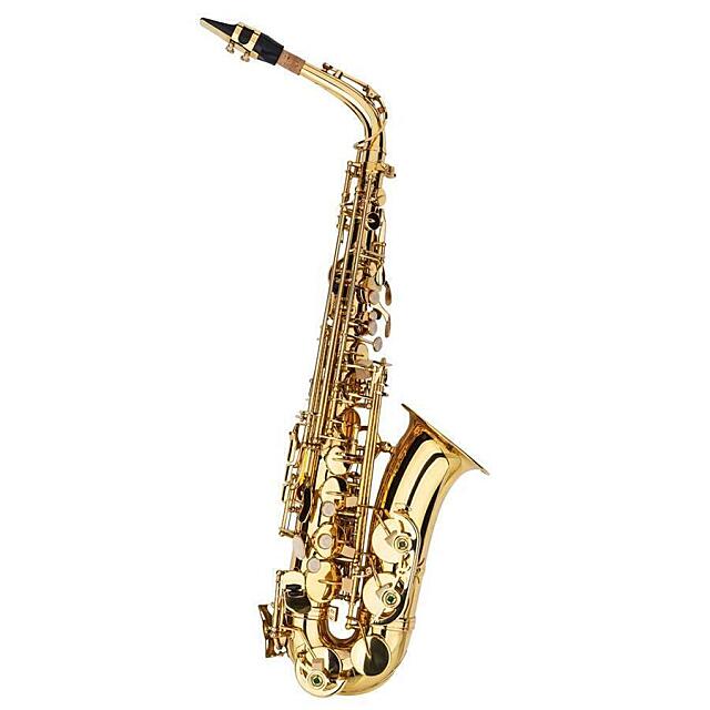 Professional Alto Eb Saxophone Gold w/ Case Mouthpiece & Accessories